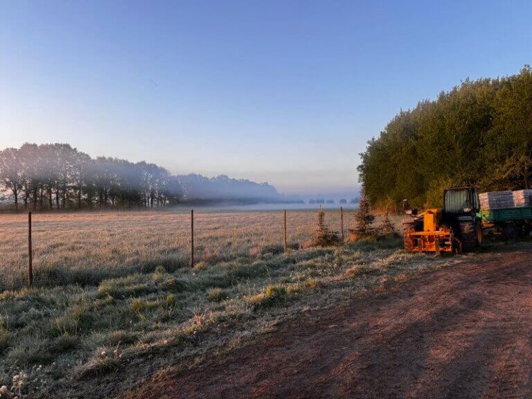 przymrozki na plantacji czereśni