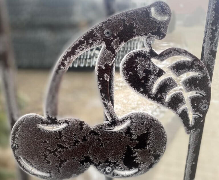 Zmarznięta brama z ozdobami w kształcie czereśni