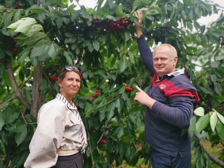 Agnieszka i Cezary Napierajczyk - Uprawa czereśni Cherry and Berry w Chlebówku